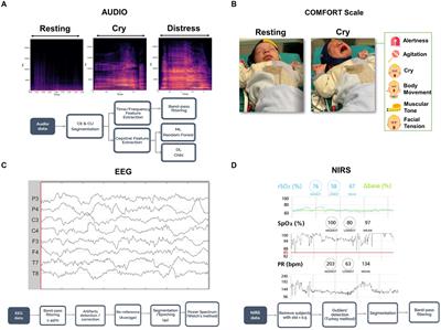 How can cry acoustics associate newborns’ distress levels with neurophysiological and behavioral signals?